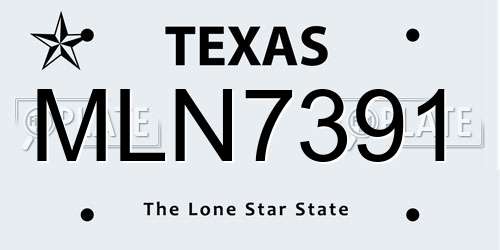 MLN7391 Texas License Plate