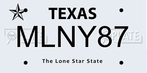 MLNY87 Texas License Plate