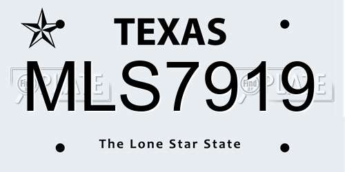 MLS7919 Texas License Plate