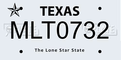 MLT0732 Texas License Plate