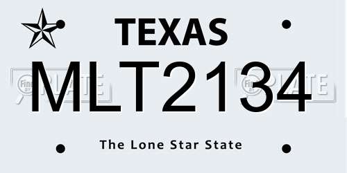 MLT2134 Texas License Plate