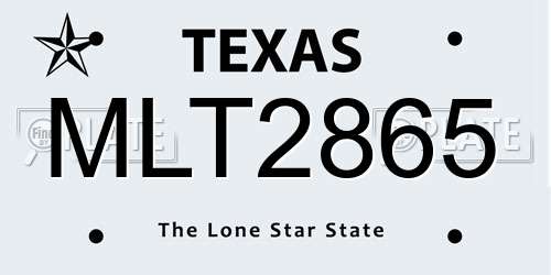 MLT2865 Texas License Plate