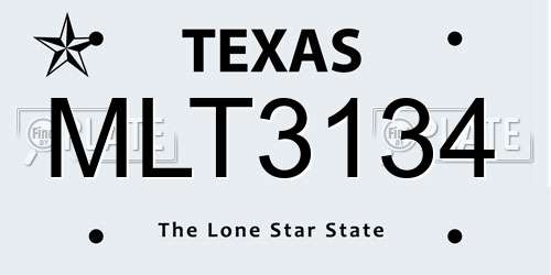 MLT3134 Texas License Plate