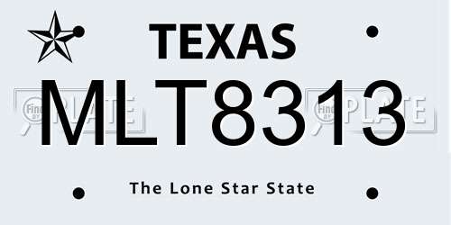 MLT8313 Texas License Plate