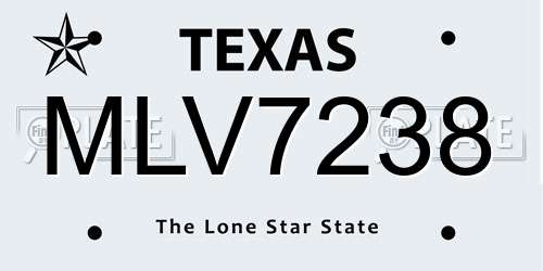 MLV7238 Texas License Plate