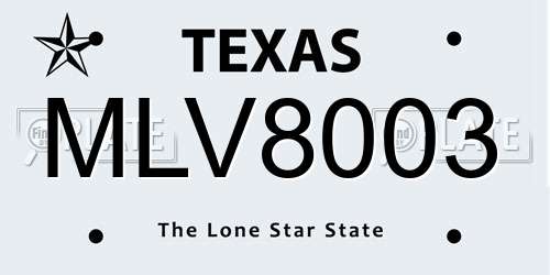 MLV8003 Texas License Plate
