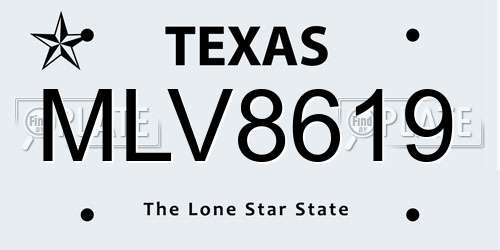 MLV8619 Texas License Plate