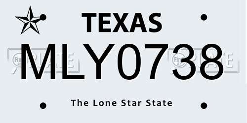 MLY0738 Texas License Plate