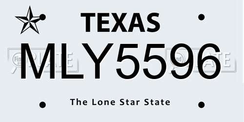 MLY5596 Texas License Plate