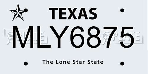 MLY6875 Texas License Plate