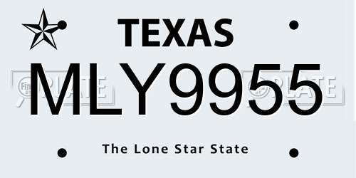 MLY9955 Texas License Plate