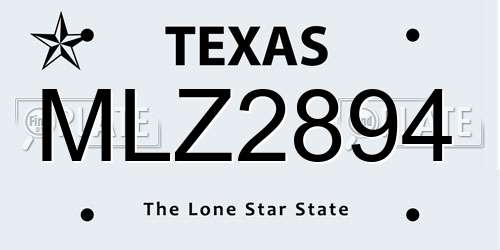 MLZ2894 Texas License Plate