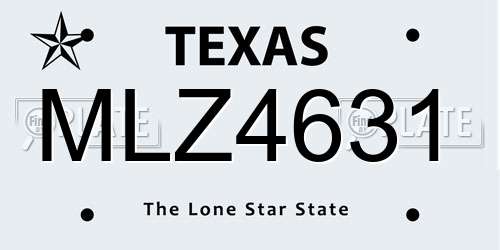 MLZ4631 Texas License Plate