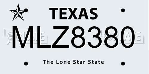MLZ8380 Texas License Plate