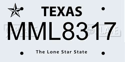 MML8317 Texas License Plate