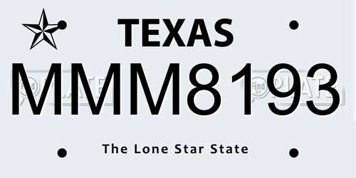 MMM8193 Texas License Plate