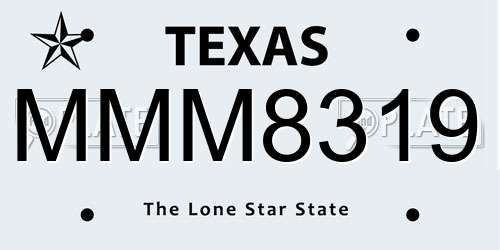 MMM8319 Texas License Plate