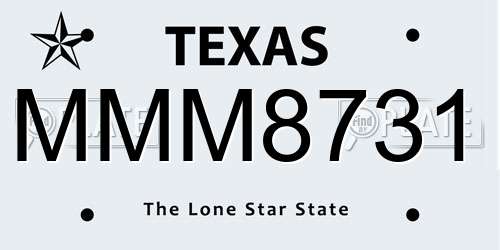 MMM8731 Texas License Plate