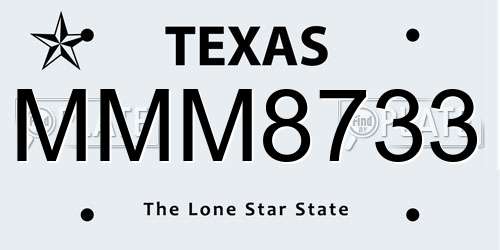 MMM8733 Texas License Plate