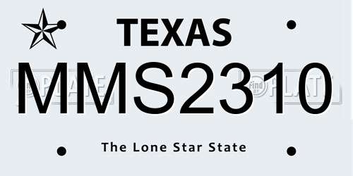 MMS2310 Texas License Plate