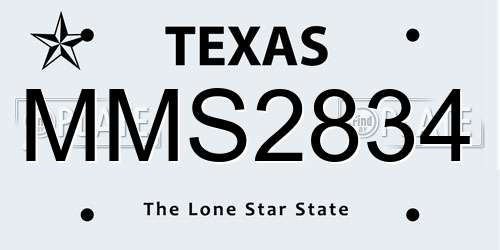 MMS2834 Texas License Plate