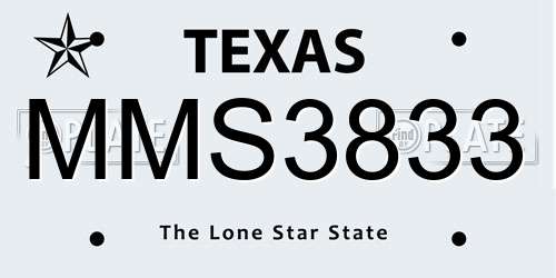 MMS3833 Texas License Plate