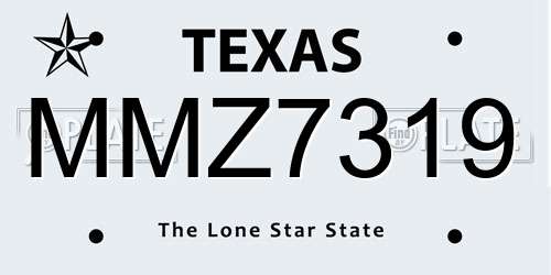 MMZ7319 Texas License Plate