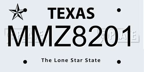 MMZ8201 Texas License Plate