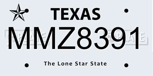 MMZ8391 Texas License Plate