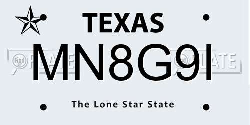 MN8G9I Texas License Plate