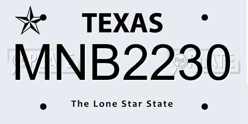 MNB2230 Texas License Plate