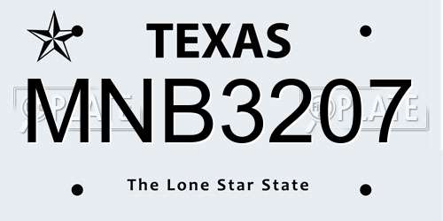 MNB3207 Texas License Plate