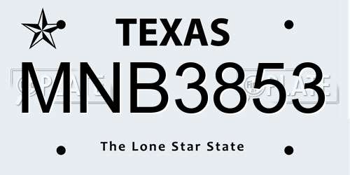 MNB3853 Texas License Plate