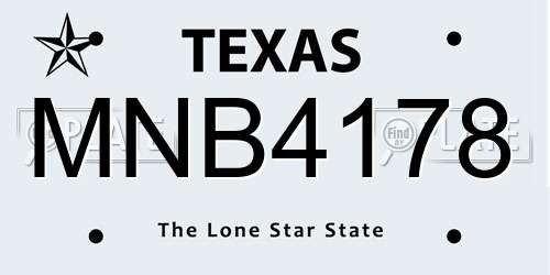 MNB4178 Texas License Plate