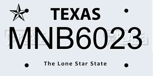 MNB6023 Texas License Plate