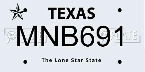 MNB691 Texas License Plate