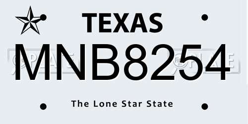 MNB8254 Texas License Plate