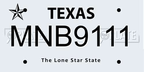 MNB9111 Texas License Plate