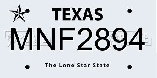 MNF2894 Texas License Plate
