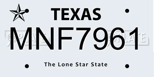 MNF7961 Texas License Plate