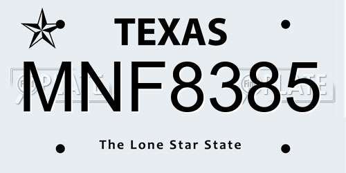 MNF8385 Texas License Plate