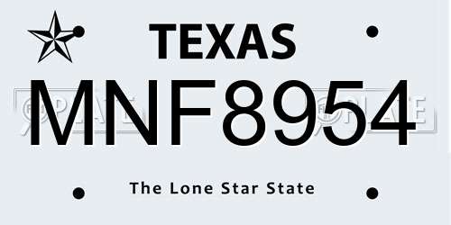 MNF8954 Texas License Plate