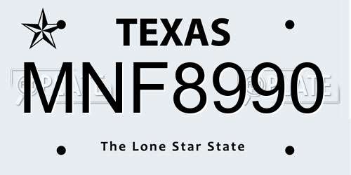 MNF8990 Texas License Plate