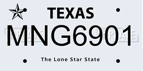 MNG6901 Texas License Plate