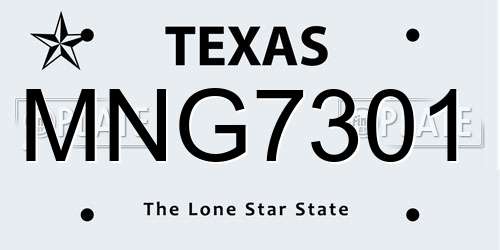 MNG7301 Texas License Plate
