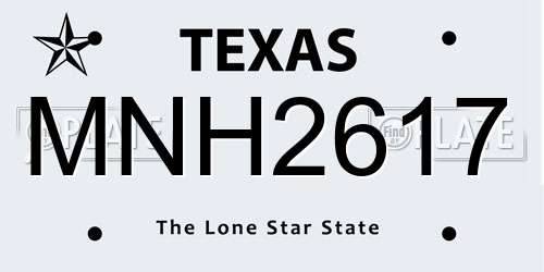 MNH2617 Texas License Plate