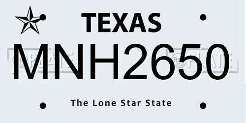 MNH2650 Texas License Plate