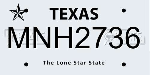 MNH2736 Texas License Plate