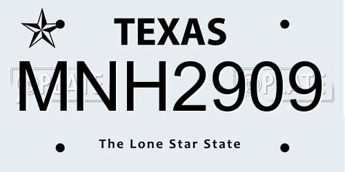MNH2909 Texas License Plate