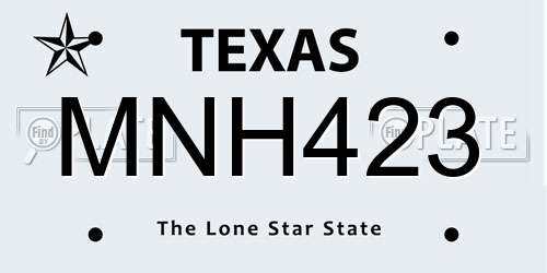 MNH423 Texas License Plate